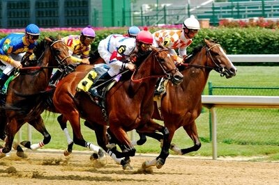 Horse Racing HRMS Project Team